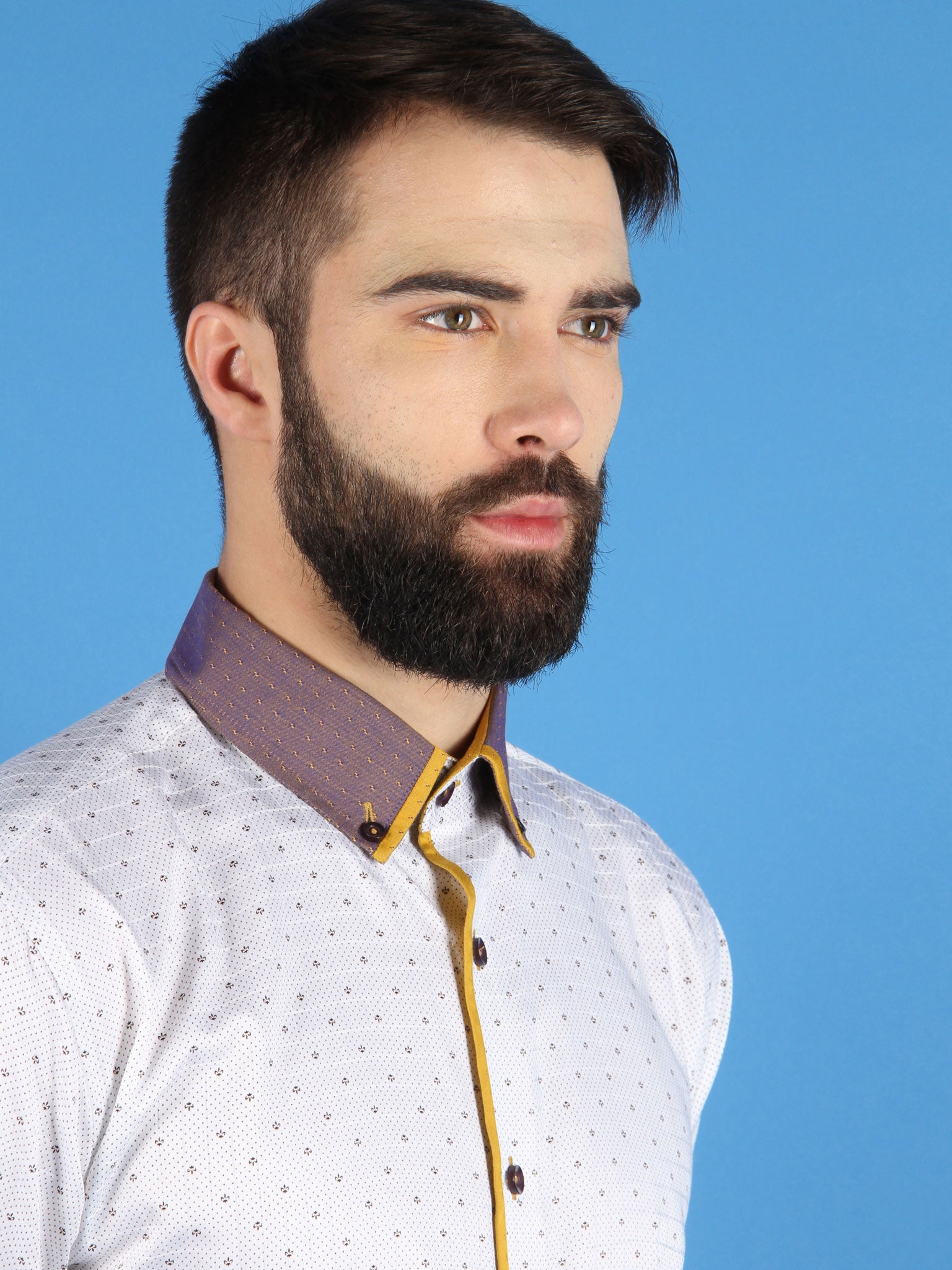 gold horizon shirt model collar image