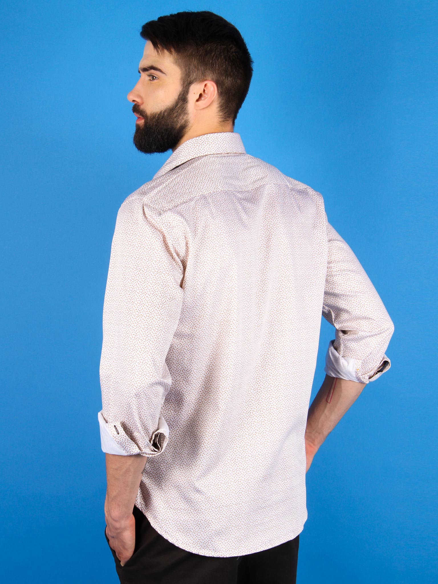 terra firma shirt model back image