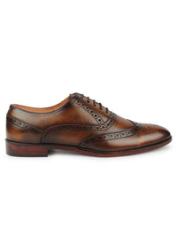 Wingtip Oxford in Brown